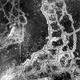 Illustration for article titled Trench Warfare in World War I Was a Smarter Strategy Than You Realize